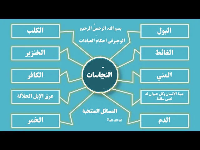 ⁣الوجیزفی احکام العبادات ،أ حكام النجاسات ، المسائل المنتخبة، آية الله العظمى السيد علي السيستاني