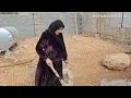 Sakineh’s loneliness and hardships; Hassan is looking after Maryam in the hospital.