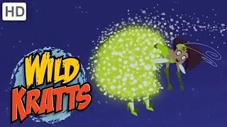Wild Kratts Part 1 Creature Rescue from the Evil Fashion Designer Kids s