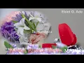 Download Lagu Bunga-bunga Cinta - Ebiet G Ade (Lirik)
