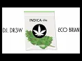 Download Lagu DJ. DR3W + ECO-BRIAN - Indica-tion