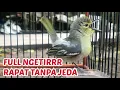 Download Lagu MASTERAN PACINGAN BURUNG SIRTU / CIPOW FULL NGETIR STATER RAPAT TANPA JEDA