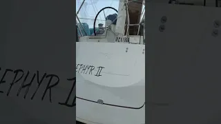 Bigger is better right? ⛵️ #shorts