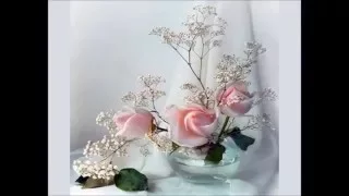 وصف لحور العين من نونية ابن الـقـيـ ـم بصوة الاخ أبو هريرة الليبي حفظه الله تعالى 