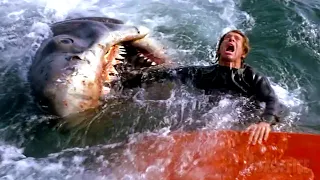 Download All the best shark attacks from Jaws 🌀 4K MP3