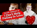 Download Lagu Puddles Pity Party - I Can't Help Falling In Love With You (Elvis Presley Cover)
