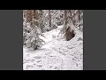Download Lagu Winter has come