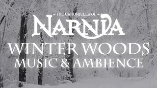 Chronicles of Narnia | Winter Woods Music & Ambience - Relaxing Music with Sounds of Winter