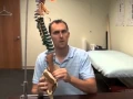 Anterior Pelvic Tilt Key To Back Pain Relief