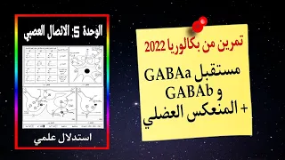 تمرين اتصال عصبي من بكالوريا 2022 مستقبلات الغابا والمنعكس العضلي 