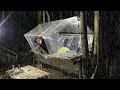 Download Lagu Camping Hujan Deras - Tidur Nyenyak Ditemani Hujan Semalaman Di Tenda Plastik