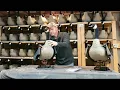 Dakota Decoy X Flapper