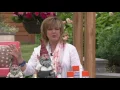 Set of 3 Sun Guard UV Protectant Spray Cans for Garden Decor on QVC