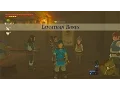 The Legend of Zelda Breath of the Wild Wii U - Side Quest