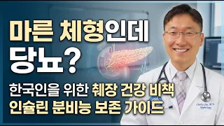 마른 체형인데 혈당이 튀는 진짜 이유 (한국인 맞춤 췌장 관리법)