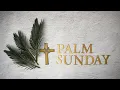 Parkside Church Online - Palm Sunday 2nd April 2023