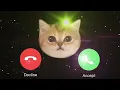 Download Lagu kucing lucu, nada dering iPhone @Tahip