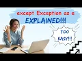 except Exception as e Explained for Beginners