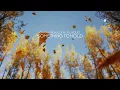 Something To Hold - Ciaran McAuley & Liel Kolet
