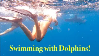 Episode 237 – Swimming with Dolphins and Exploring the UnderWater World!