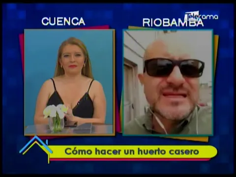 Cómo hacer un huerto casero 