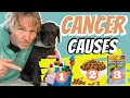 Download Lagu Cancer Causes in Dogs and Cats