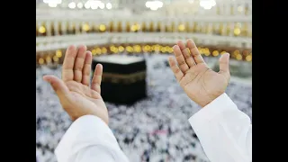 فاطمة عيد    رايحة فين يا حاجة دندنها