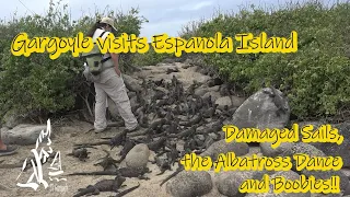 We’re Going to the Birds – Gargoyle Explores Española Island Galápagos Ep. 32