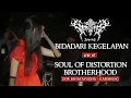 Download Lagu IPPOTIS - BIDADARI KEGELAPAN 🔴Live At SOUL OF DISTORTION Supermusic.id (GOR Panatayudha - Karawang)