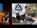 Lagu Therian and Quadrobics TikToks | Compilation #1