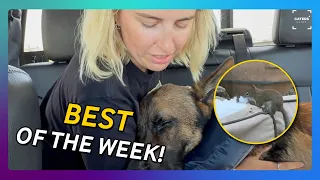 This Weeks Best Videos
