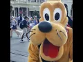 Download Lagu Cutest dog at Disney runs over for a kiss!