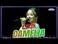 Download Lagu ( LIRIK ) CAMELIA - TASYA ROSMALA - @YaniChannel_