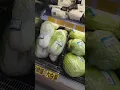 Download Lagu hari ini belanja sayur nya nenek