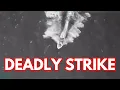 Download Lagu US Military Strikes Venezuelan Terror Group