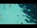 Mac Demarco - My House By The Water