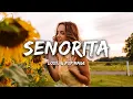 lost., Pop Mage - Senorita (Magic Cover Release)