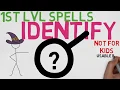 1st Level Spell Identify 5E