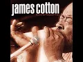 Love Me Or Leave Me - James Cotton