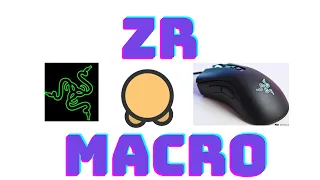 how to get zr macros dd