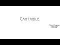 Cantabile, Op. 17, MS 109 - Niccoló Paganini || Violin and Piano Ver. (Score Video)