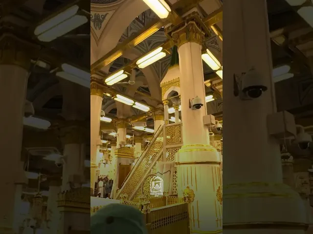 ⁣بذكر محمد (صل الله عليه وآله وسلم) تحيا القلوب #جامعة_آل_البيت_العالمية #اكسبلور #لايك