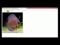 Easiest way to change image on Hover with jQuery
