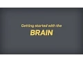 Getting started with the Brain