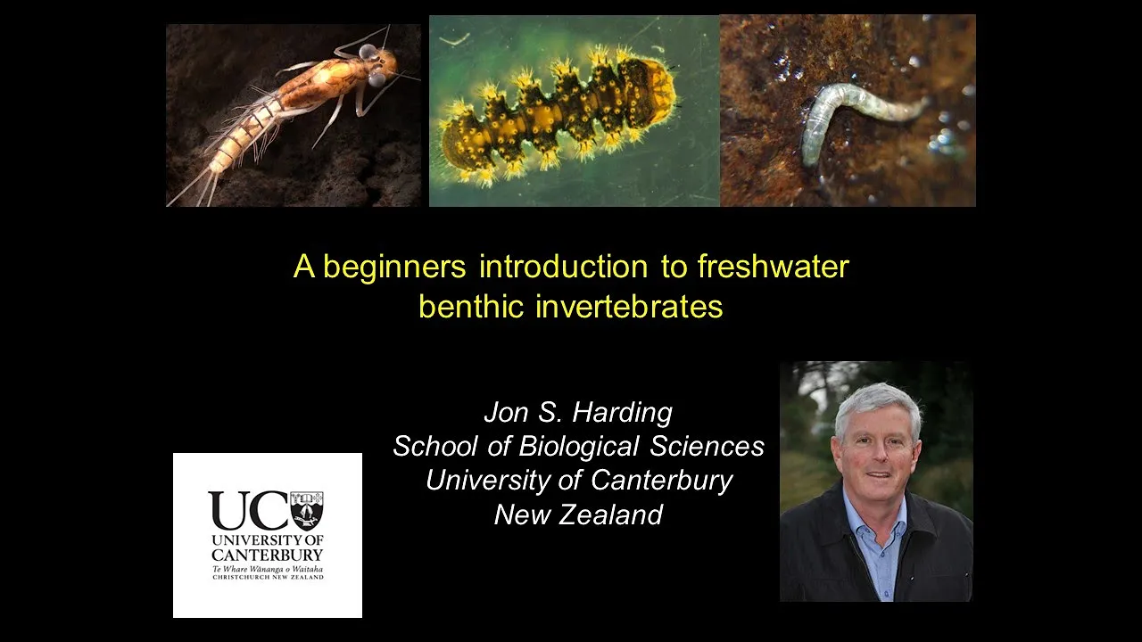 Beginners introduction to benthic invertebrate