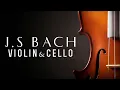 Download Lagu J.S. Bach: The Violin Concertos | 3 HOURS NO ADS(playlist)