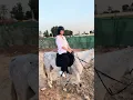 Download Lagu Zonder enige uitleg en ondanks allergieën toch gaan paardrijden voor mij 🥺🧡