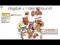 Download Lagu Digital Underground - Tie the Knot