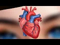  Bairan Reanimated Love story | Banjree 