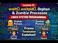 LEC-13 wait waitpid System Calls Orphan Zombie Processes Linux System Programming